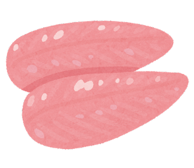 dog kibble