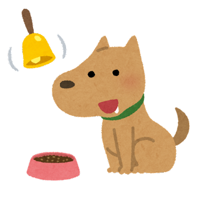 dog kibble